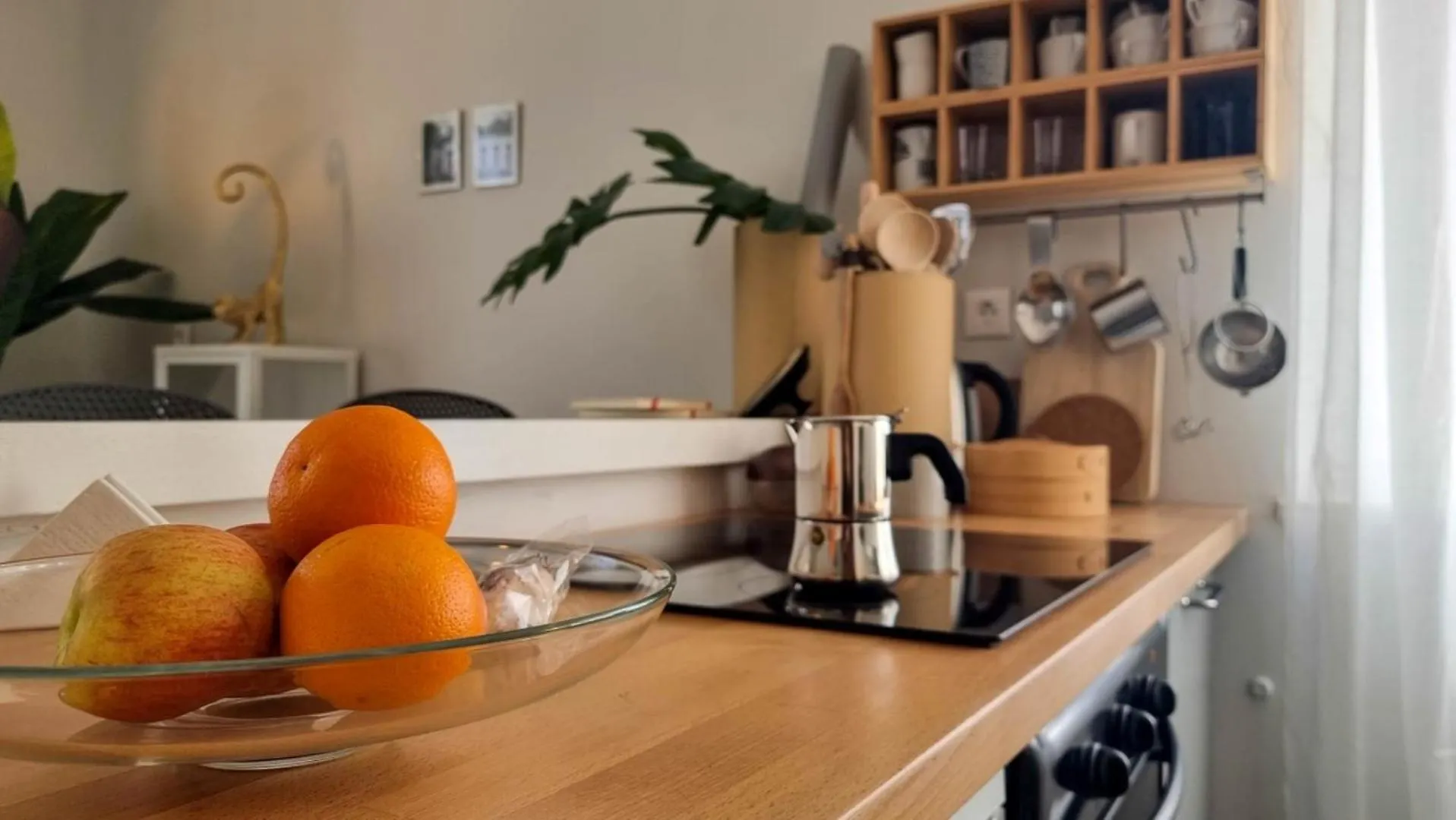 Arte No5 Apartment Novigrad  0*, Novigrad (Istria) Croatia